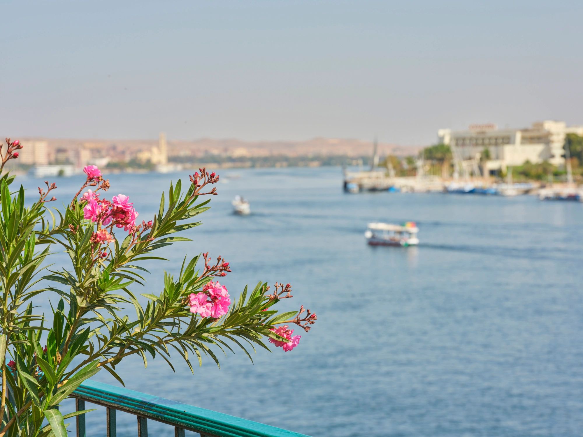 View across the Nile River in Egypt
